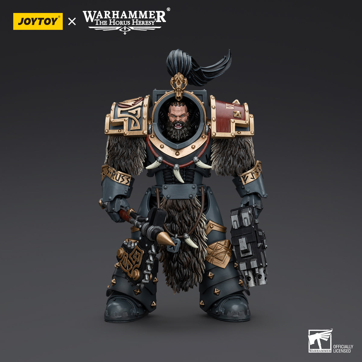 JOYTOY Action Figure 1/18 Space Wolves Varagyr Wolf Guard Squad Varagyr Thegn Model Birthday Gifts